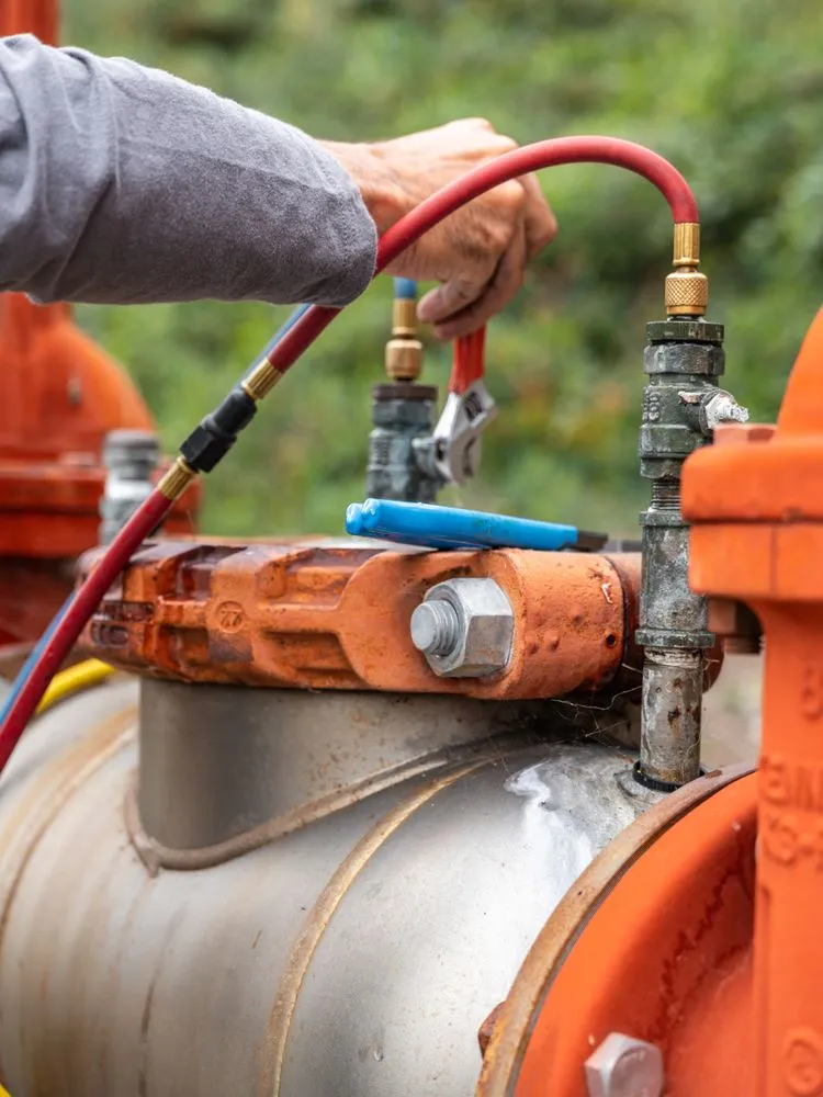 Slide of 1 Affordable backflow