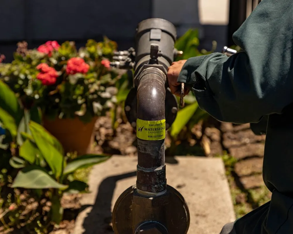 Slide of 1 Affordable backflow