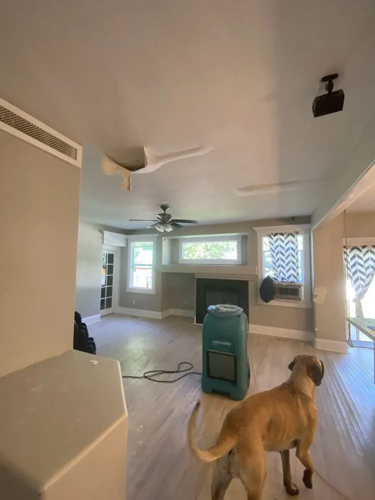 Slide of 1 and done restoration