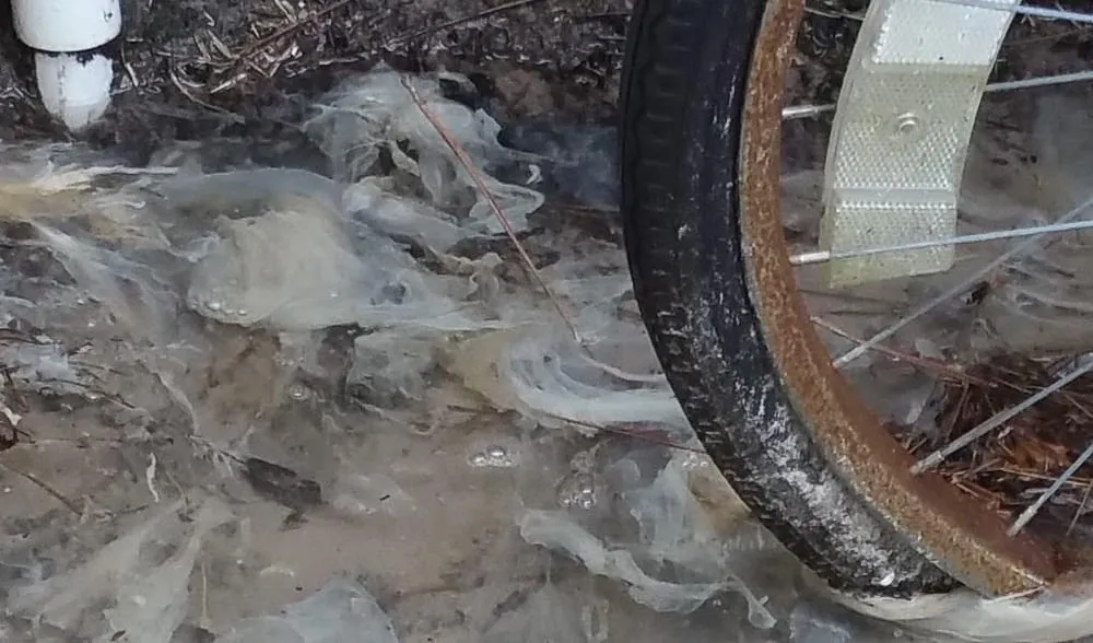 Slide of 1 Call Property Service