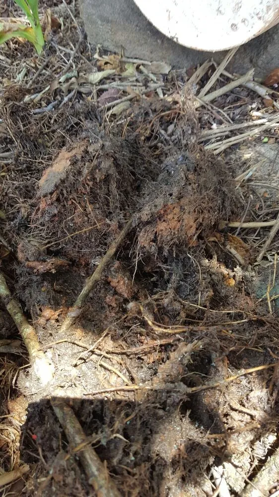 Slide of 1 Call Way Plumbing