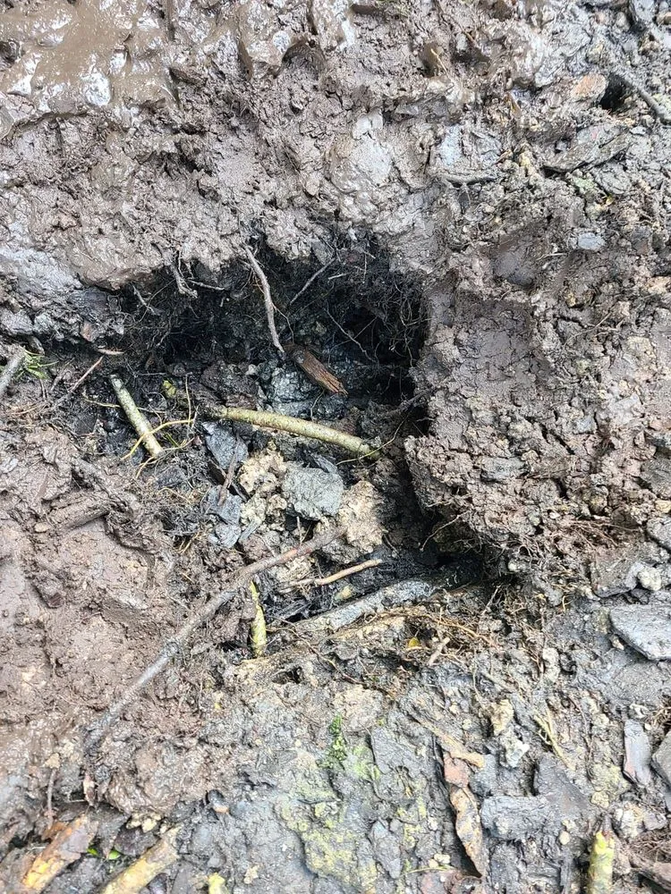 Slide of 1 Day Septic