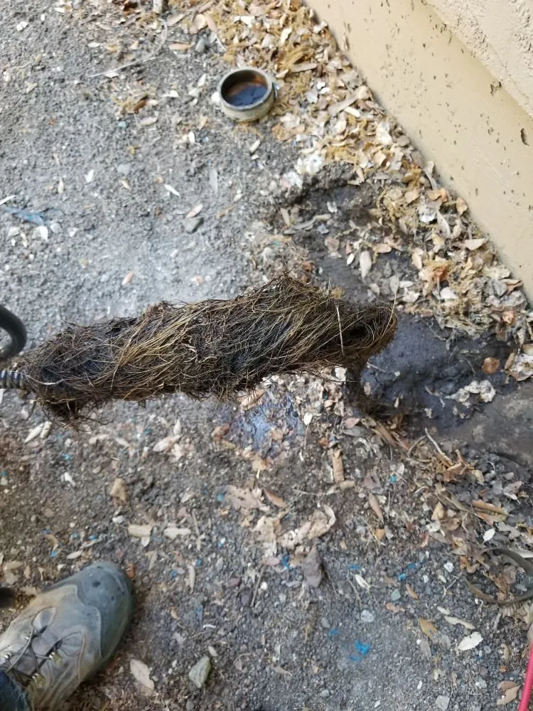 Slide of #1 Honest Plumber