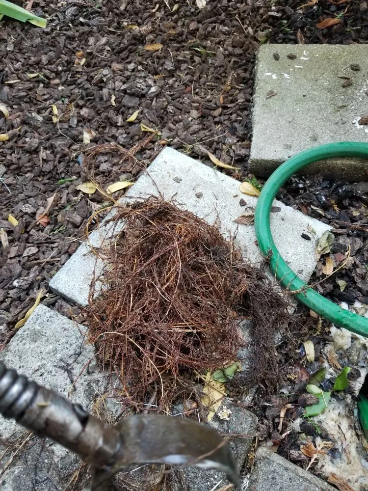 Slide of #1 Honest Plumber