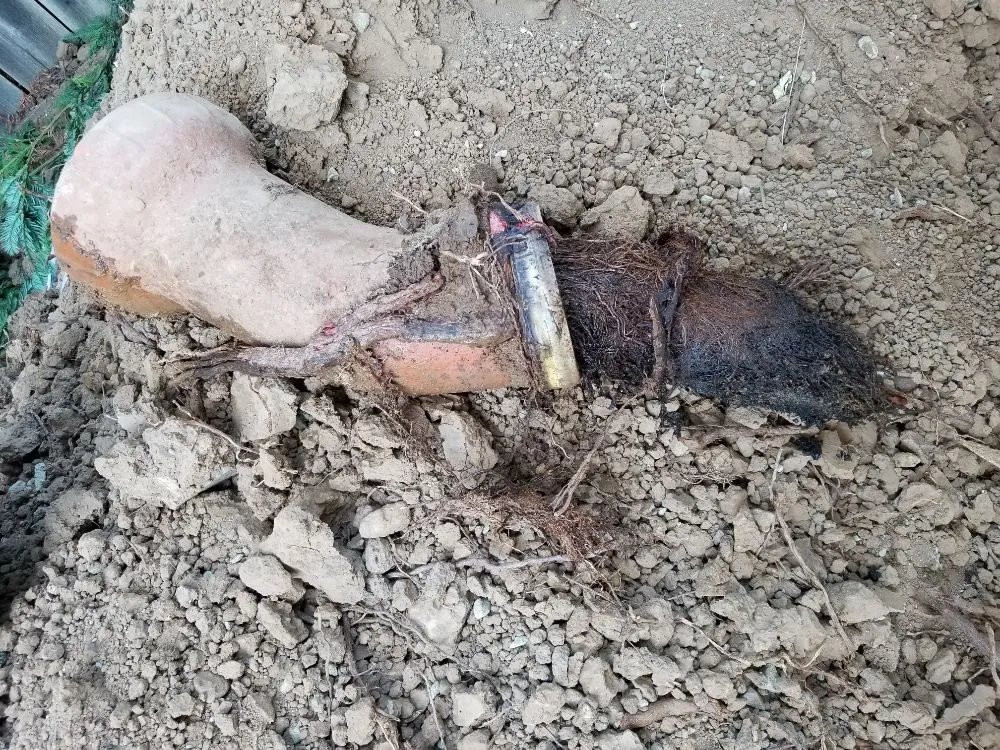 Slide of #1 Honest Plumber