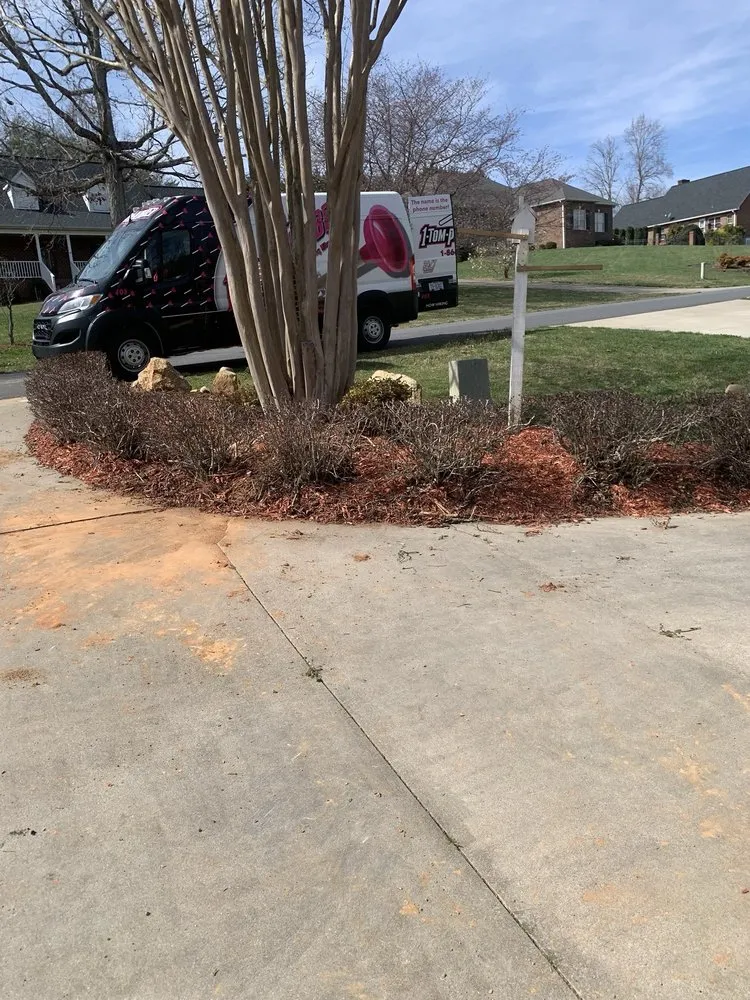 Slide of 1-Tom-Plumber