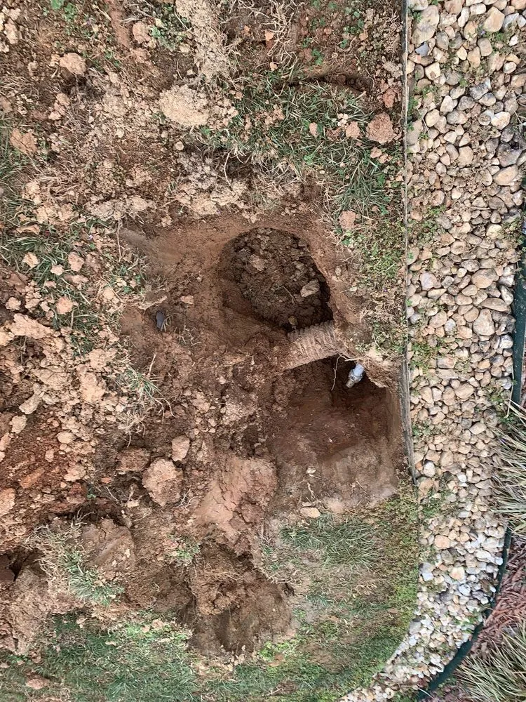 Slide of 1-Tom-Plumber