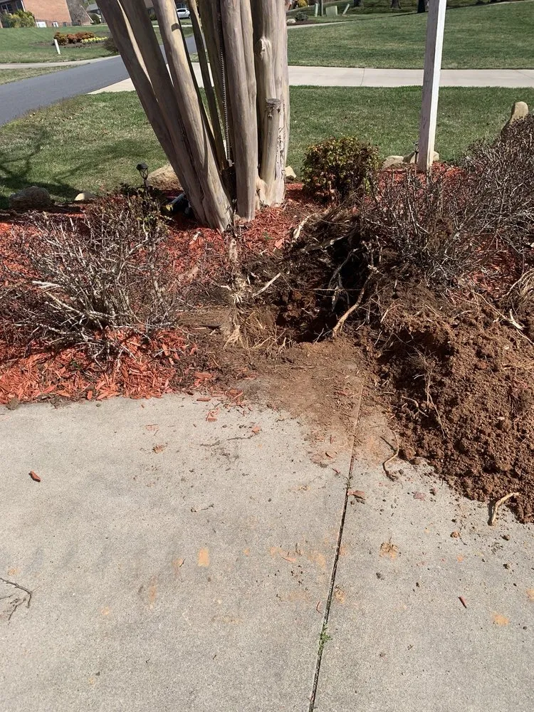 Slide of 1-Tom-Plumber