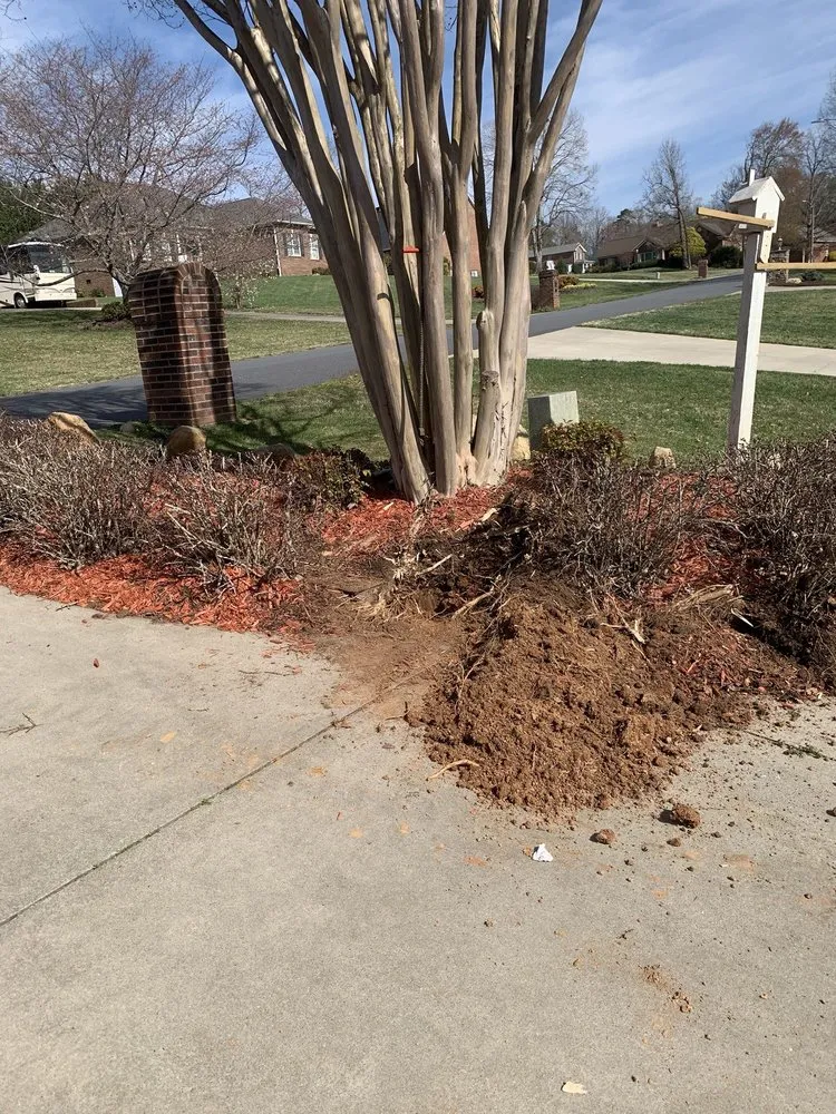 Slide of 1-Tom-Plumber