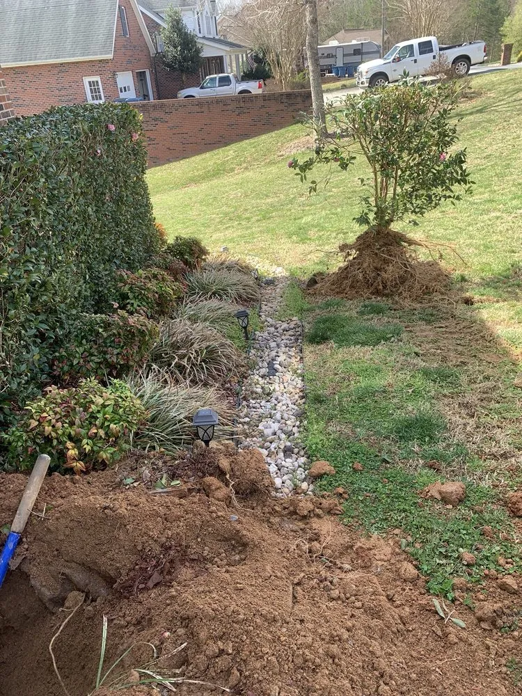 Slide of 1-Tom-Plumber