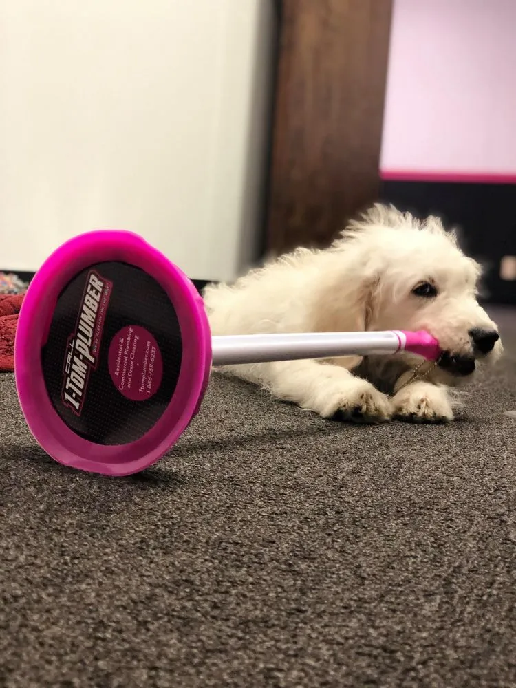 Slide of 1-Tom-Plumber