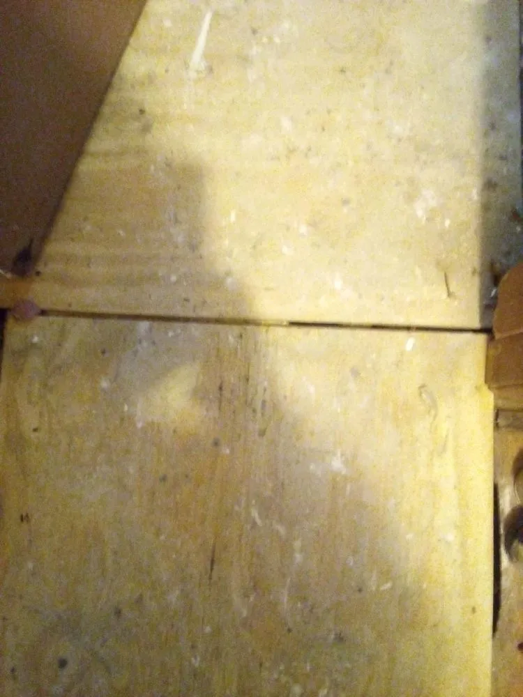 Slide of 1-Tom-Plumber