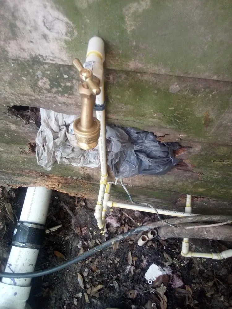 Slide of 1-Tom-Plumber