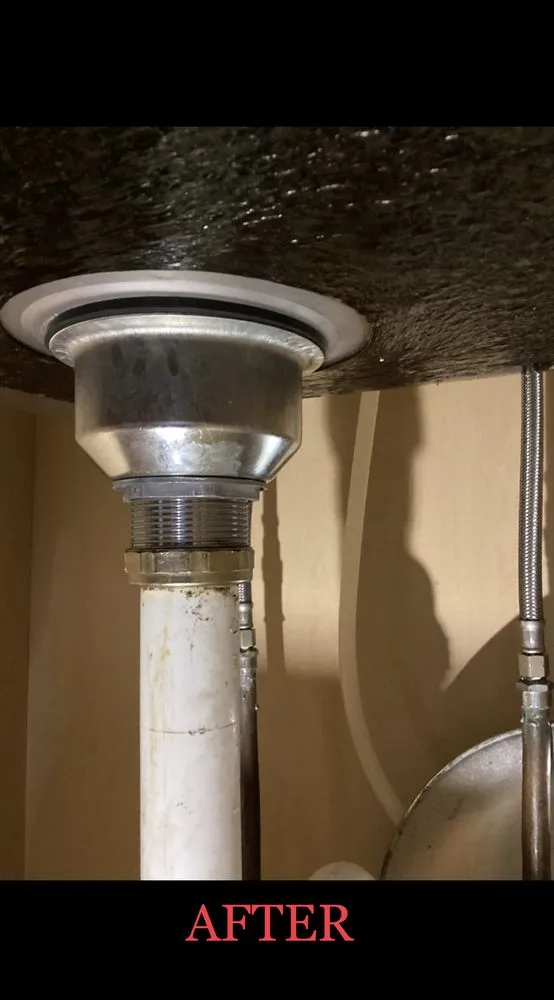 Slide of 1-Tom-Plumber