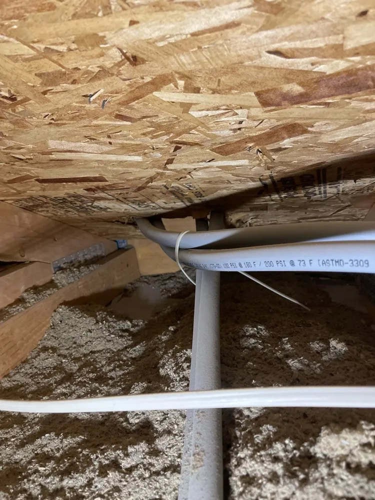 Slide of 100% Plumbers