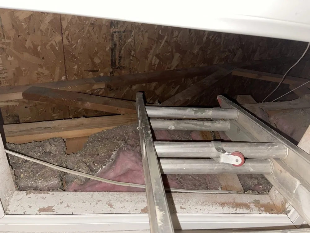 Slide of 100% Plumbers