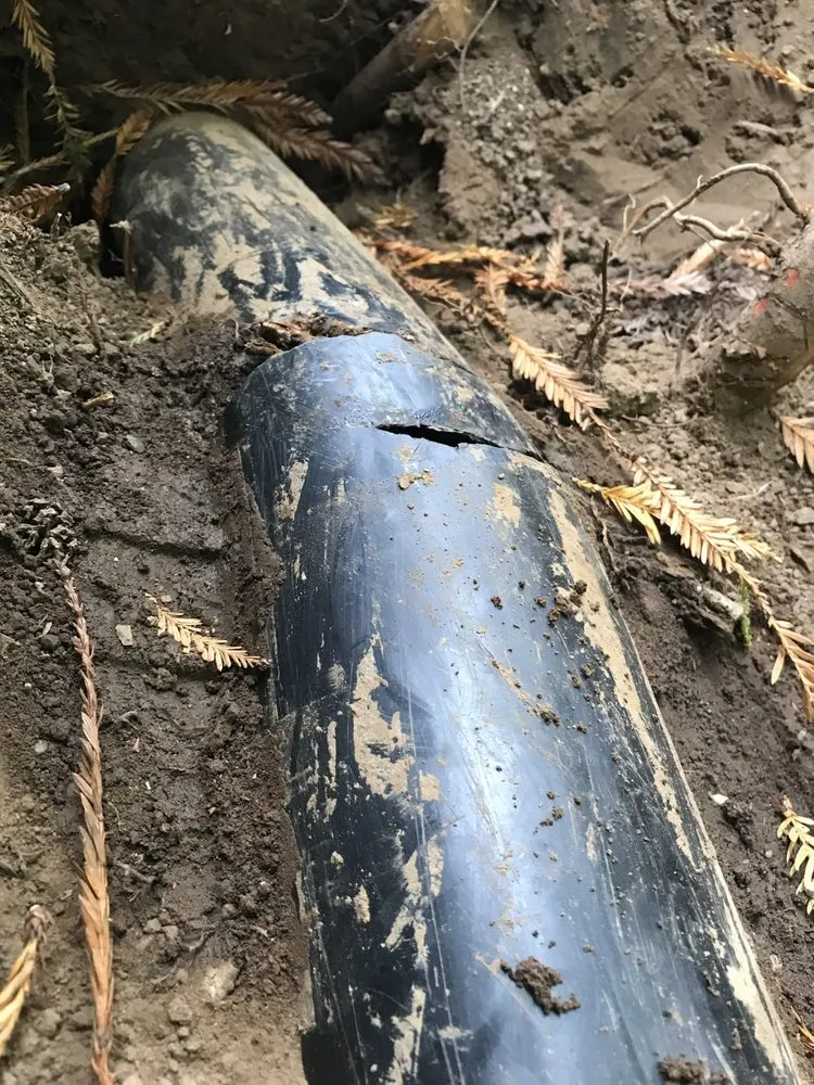 Slide of 101 Plumbing