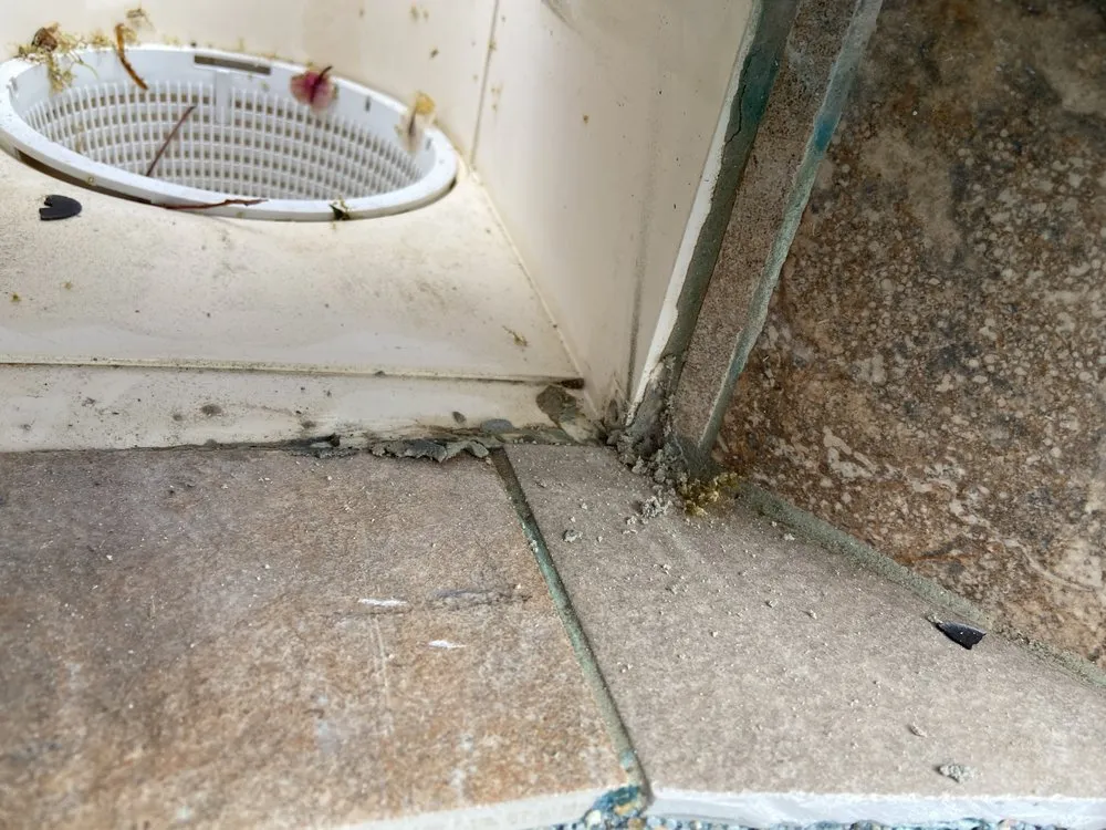 Slide of 111 Leak Detection