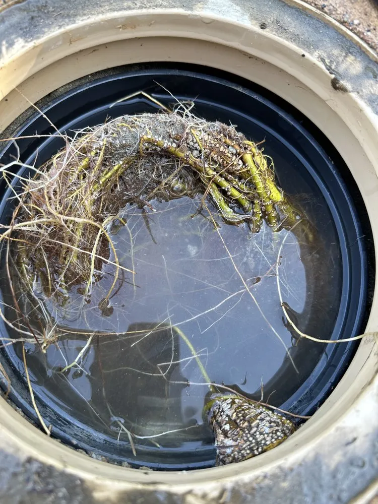 Slide of 111 Leak Detection