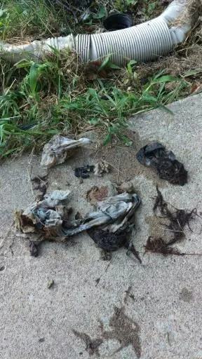 Slide of 123 Plumbing Kansas City