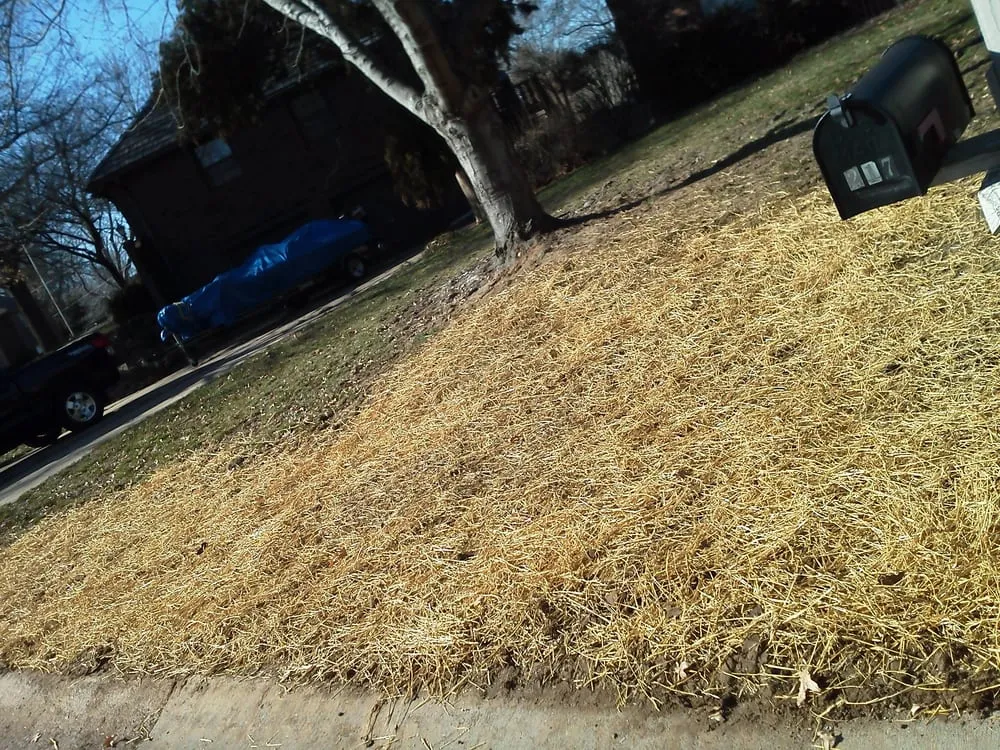 Slide of 123 Plumbing Kansas City