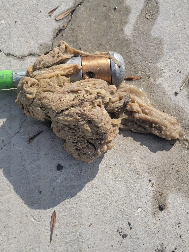 Slide of 1Affordable Backflow Testing & Drain Cleaning