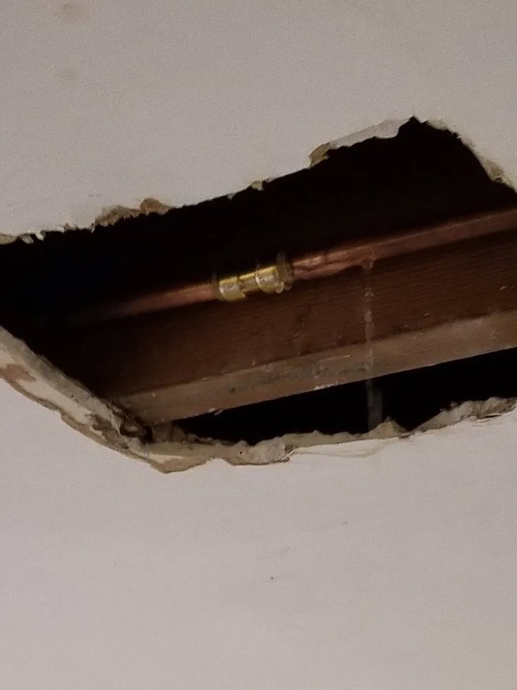 Slide of 2020 Drain Guys