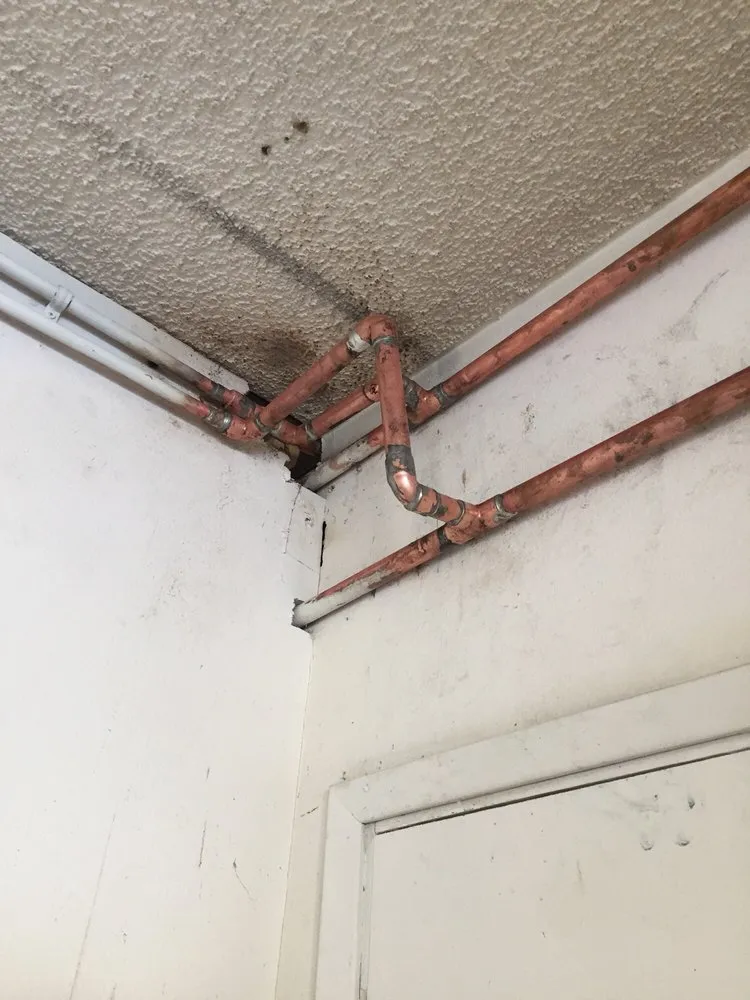 Slide of 2020 Drain Guys