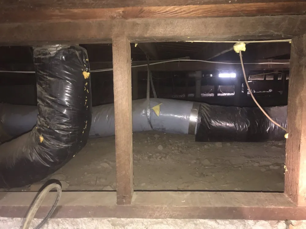 Professional leak detection experts serving Placerville, CA - 21st Century Plumbing