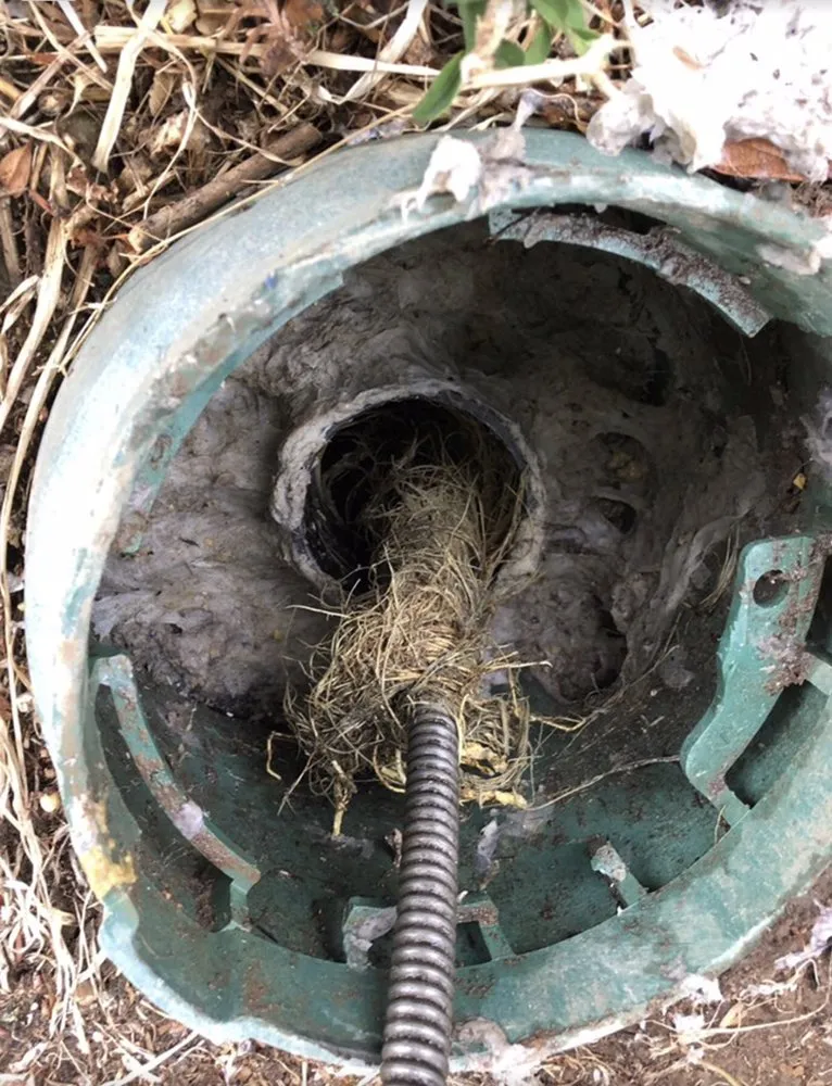 Emergency water heater service in Burr Ridge, IL by 24 Action Plumbing