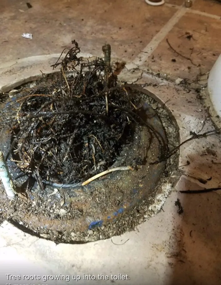 Affordable leak detection experts serving Burr Ridge, IL - 24 Action Plumbing