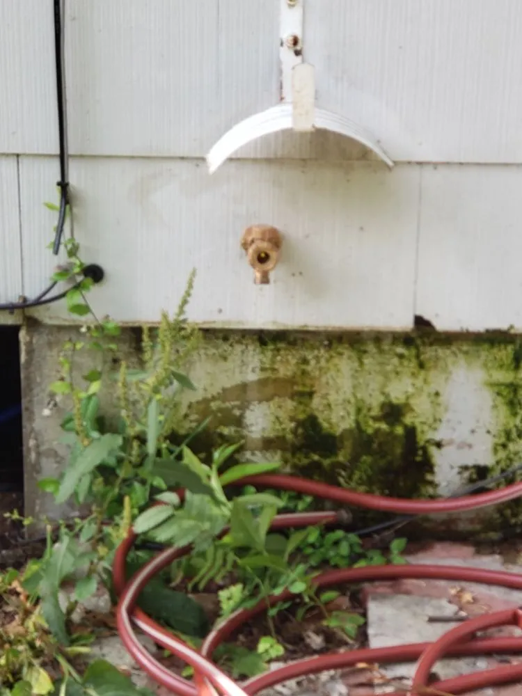 Expert plumbing repair service in Springfield, MO - 24 Hour Plumbing Heating And Air