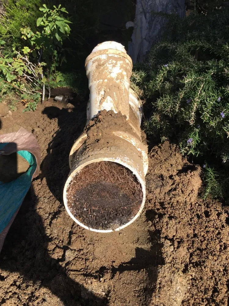 Slide of 24 Hour Rooter