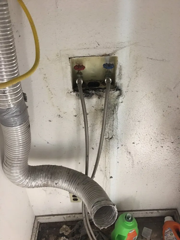 Slide of 24 Hour Rooter