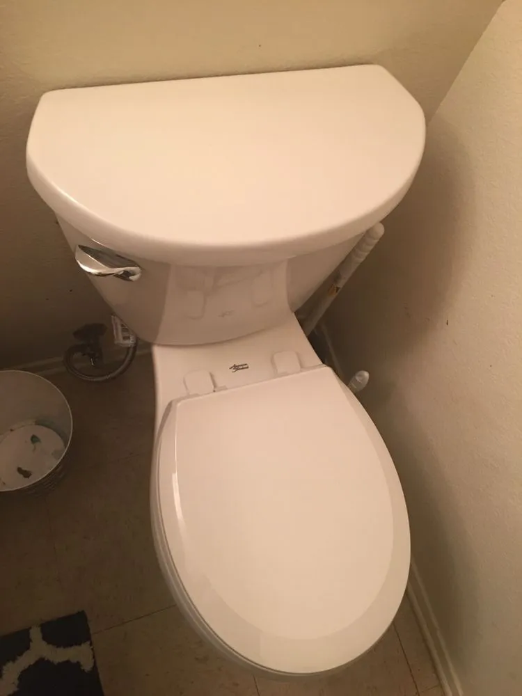 Slide of 24 Hour Rooter