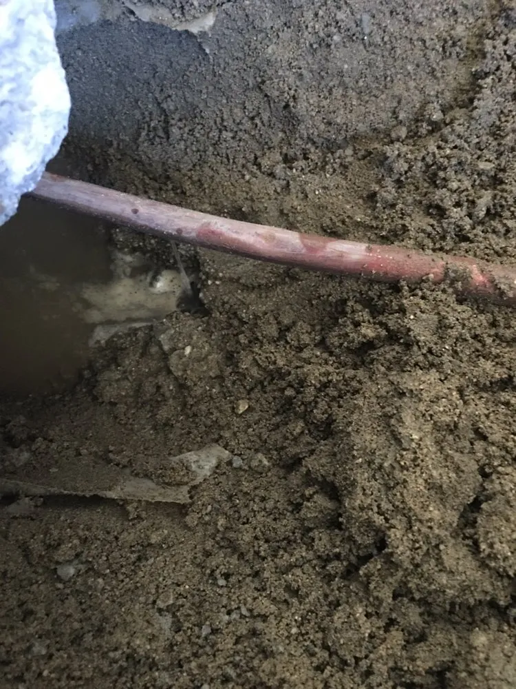 Slide of 24 Hour Rooter