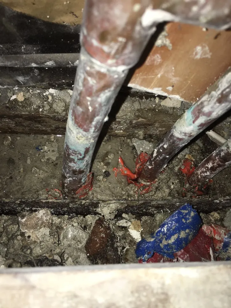 Slide of 24 Hour Rooter