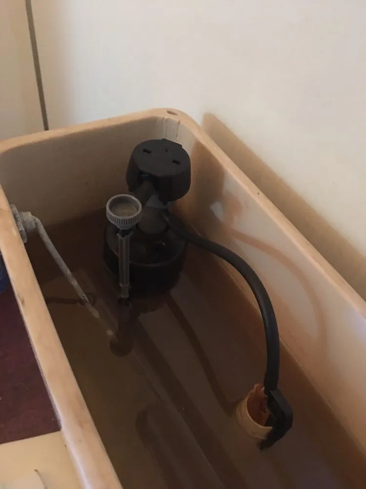 Slide of 24 Hour Rooter