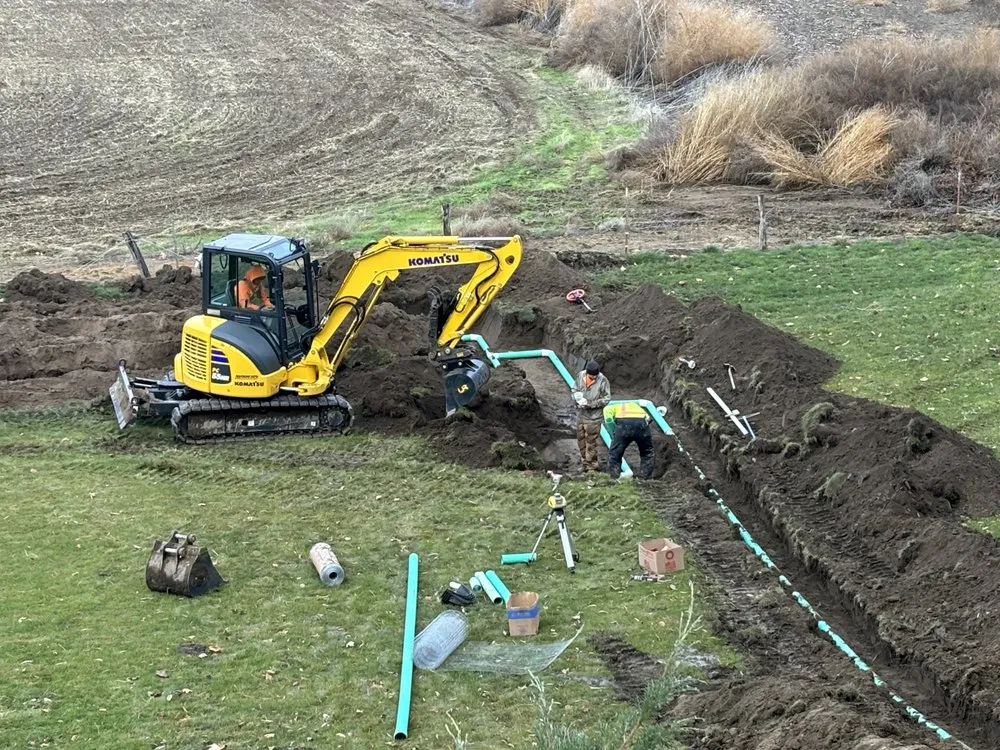 Slide of 24 Hr Septic