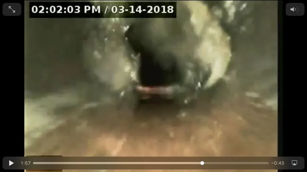 Slide of 24/7 Drainrooter