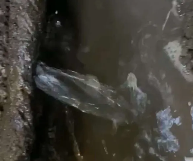 Trusted water heater service experts serving Los Angeles, CA - 24/7 Leak Detection