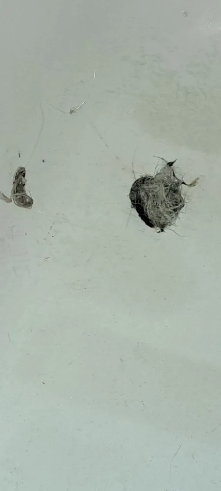 Slide of 24/7 Plumbing