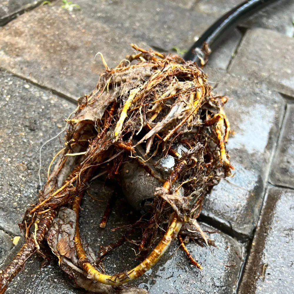 Slide of 24/7 Pro-Rooter Plumbing