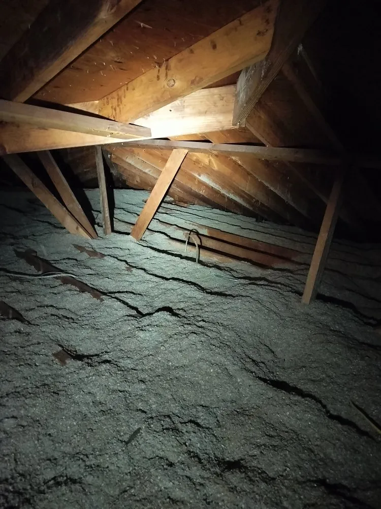 Slide of 247 Restoration and Medigation