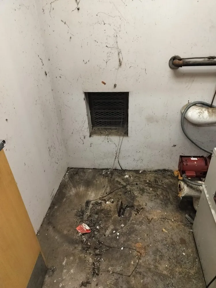 Slide of 247 Restoration and Medigation