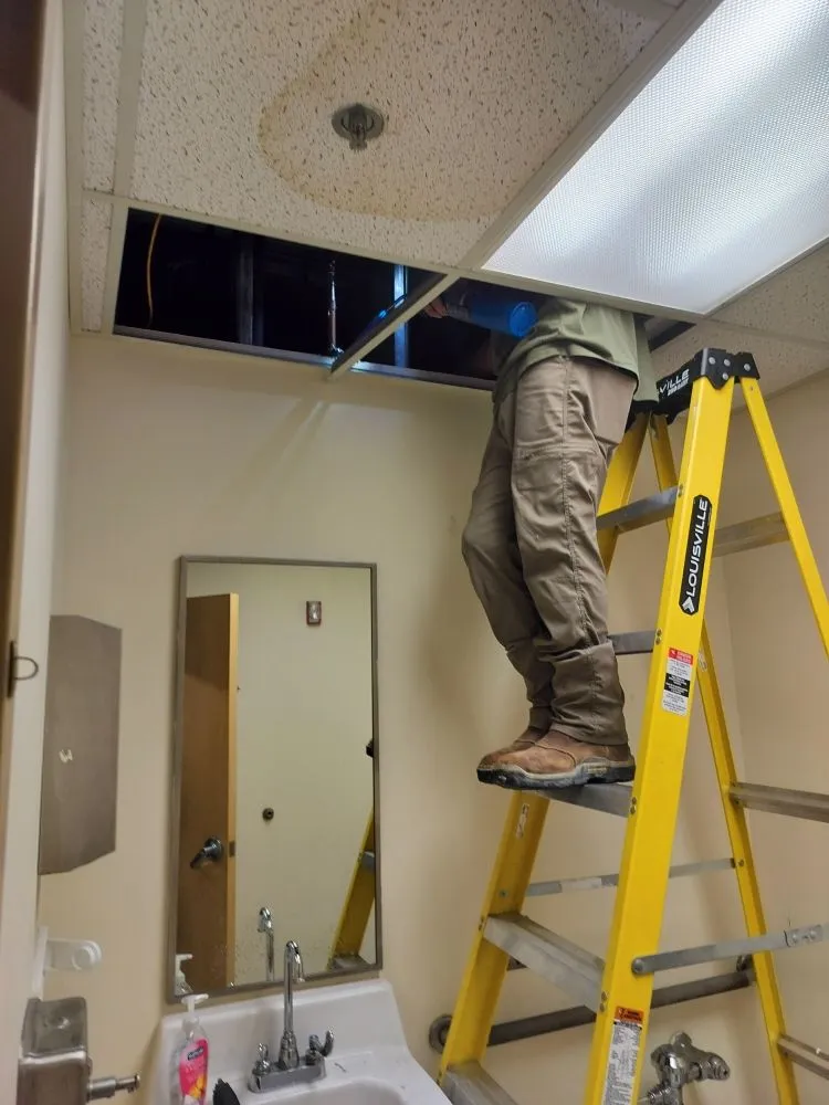 Slide of 247 Restoration and Medigation