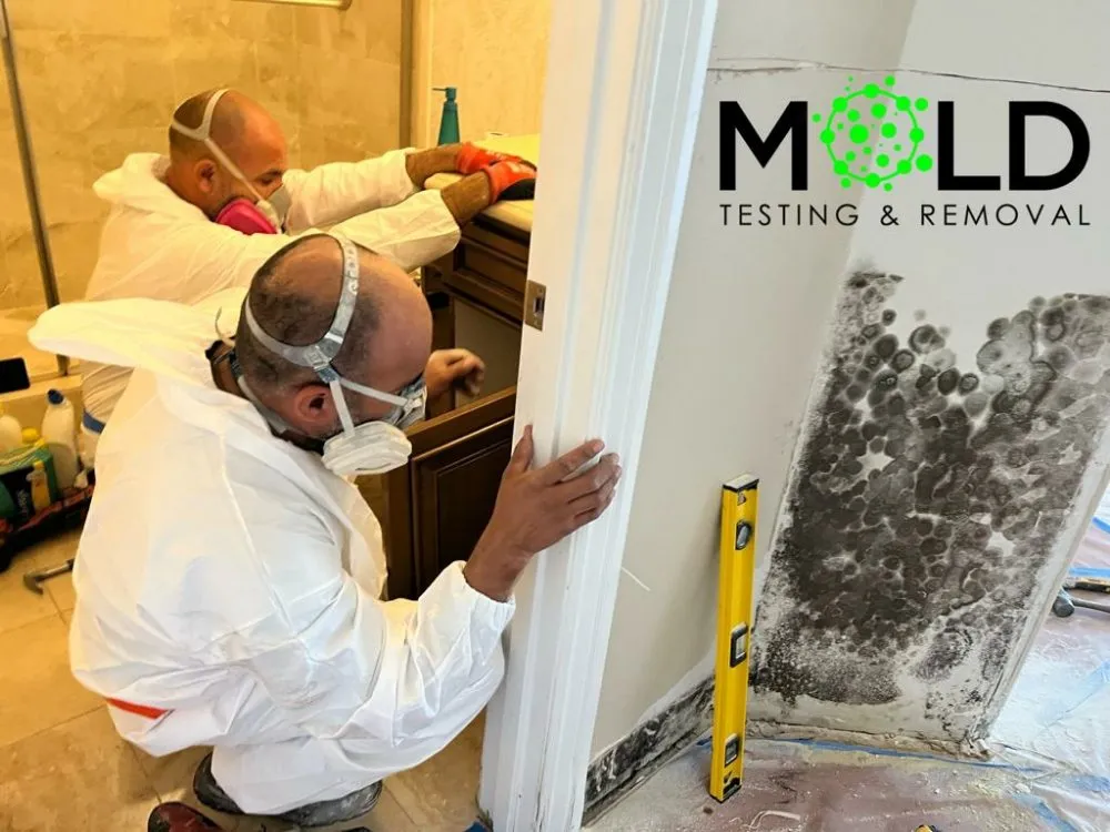 Top-rated drain cleaning experts serving Fontana, CA - 24/7 Water Damage Restoration Fontana