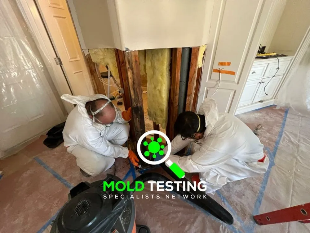 Reliable drain cleaning service in Fontana, CA - 24/7 Water Damage Restoration Fontana