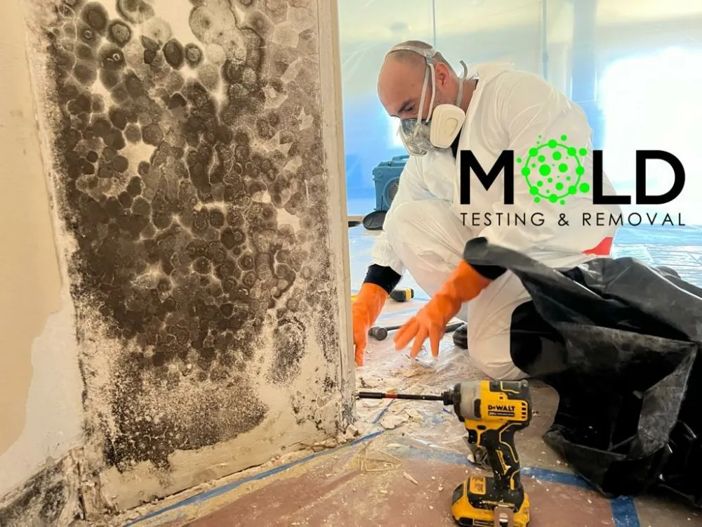 Slide of 24/7 Water Damage Restoration Fontana