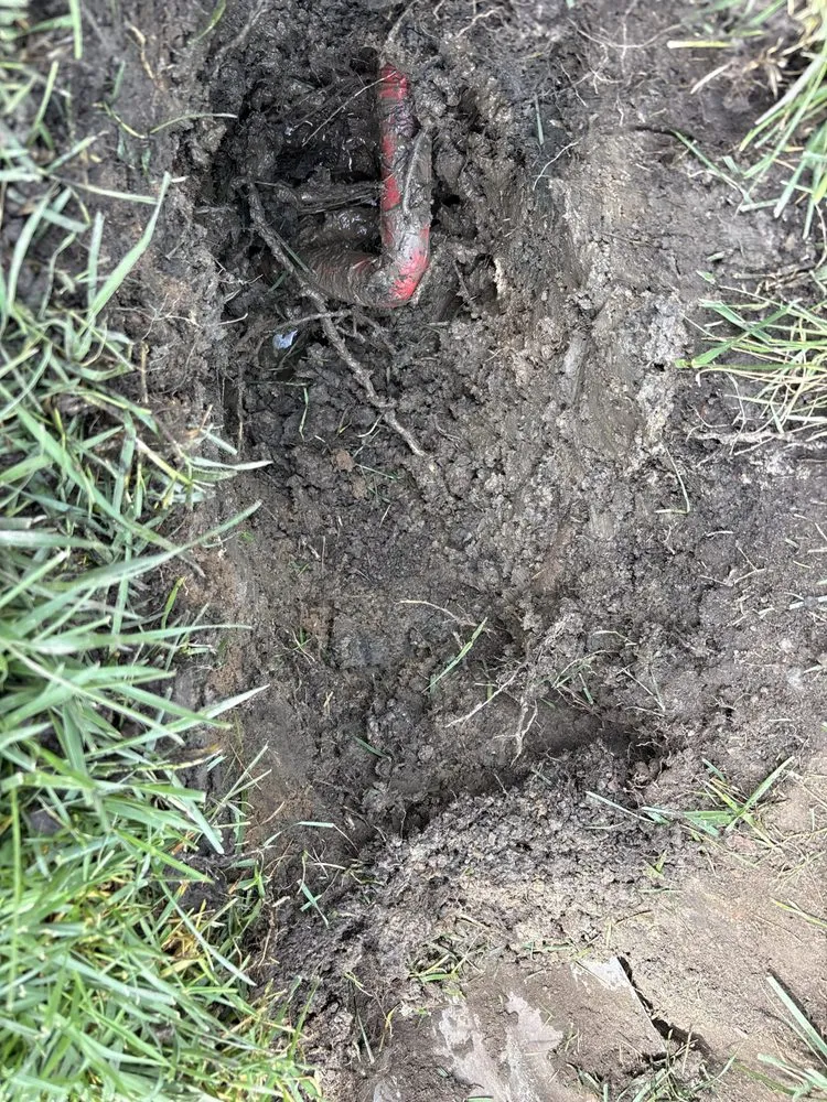 Slide of 24hr Drain Pro